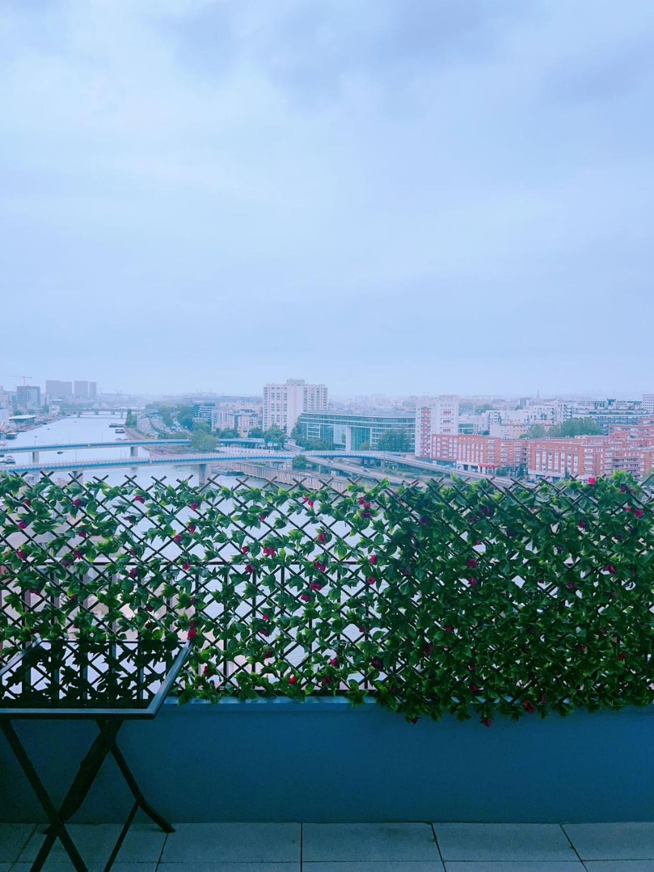 Vu Seine Duplex Appartement